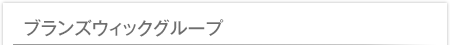 ブランズウィックグループ